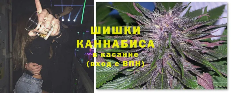 Бошки Шишки семена  Балашов 